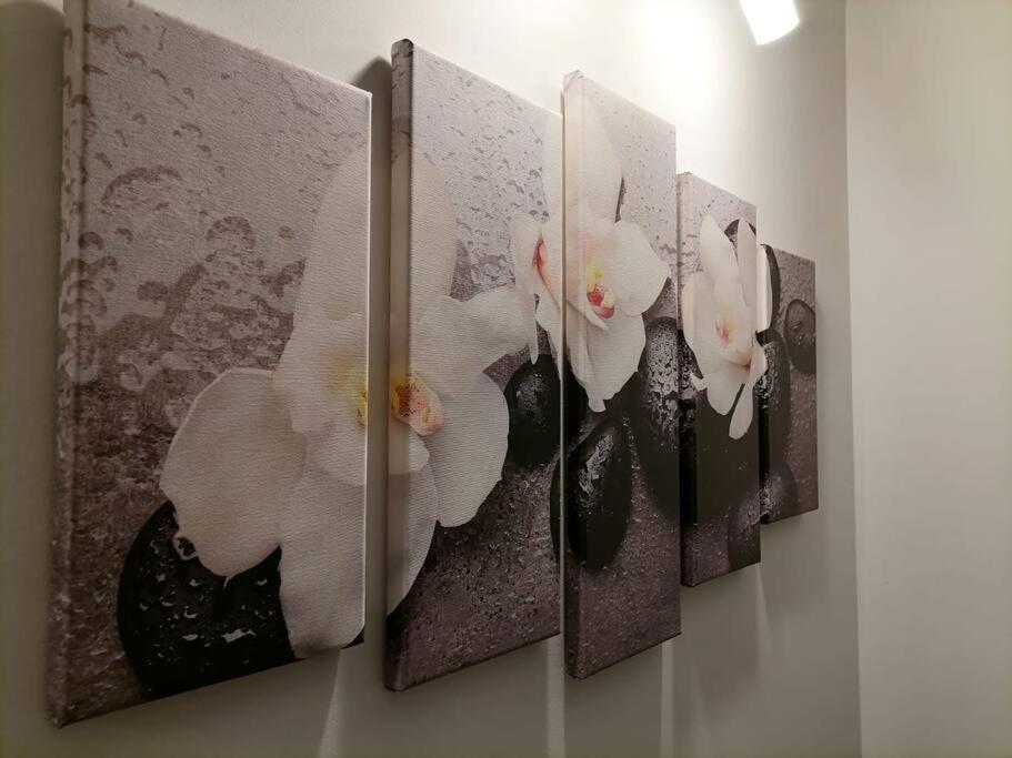 Zen By Downtown Apartments Târgu-Mureş Zewnętrze zdjęcie