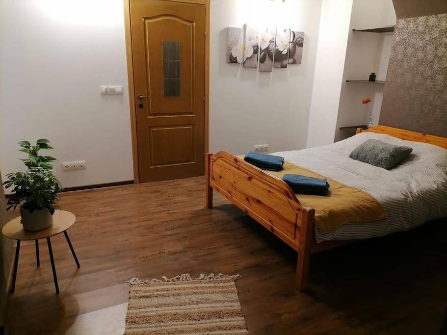 Zen By Downtown Apartments Târgu-Mureş Zewnętrze zdjęcie